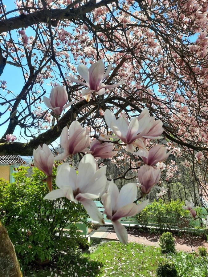 Rottgarten Gelnhausen Eksteriør bilde