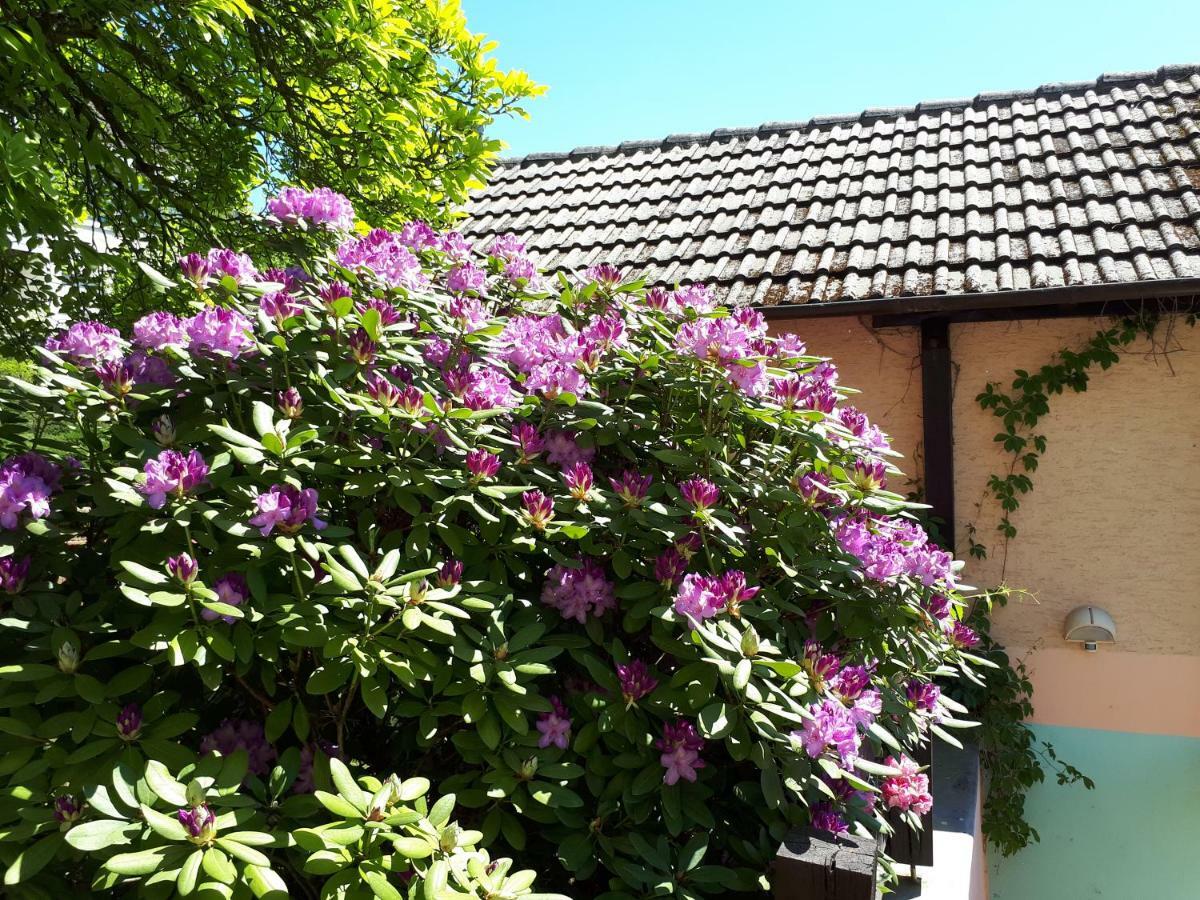 Rottgarten Gelnhausen Eksteriør bilde